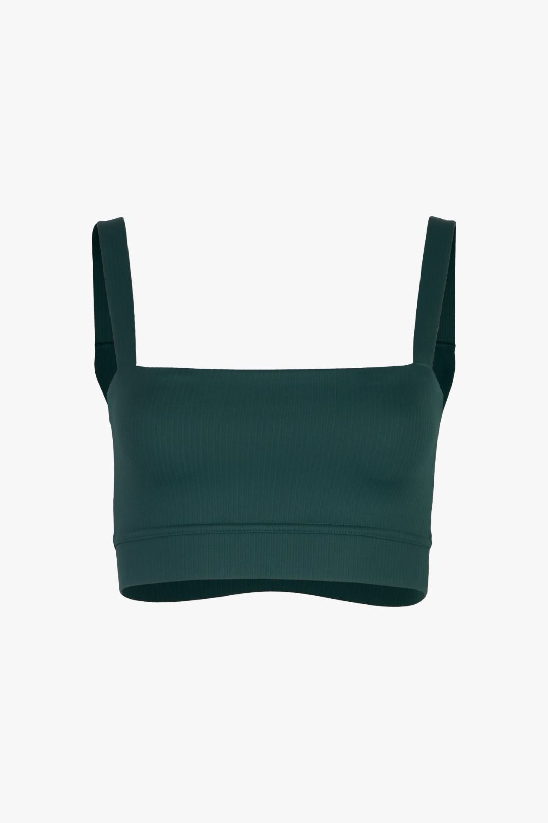 Vivid Sports Bra - High Intensity