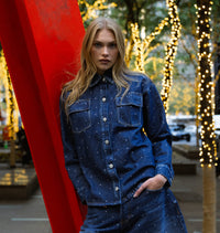 Denim Blouse