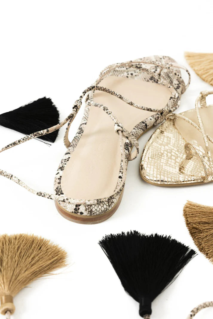 Andrea Flats