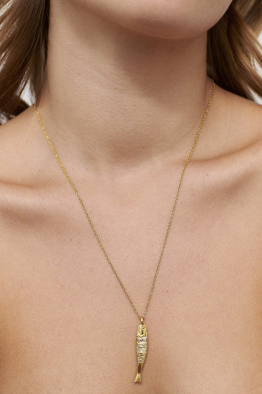 Collar Boqueron Medi
