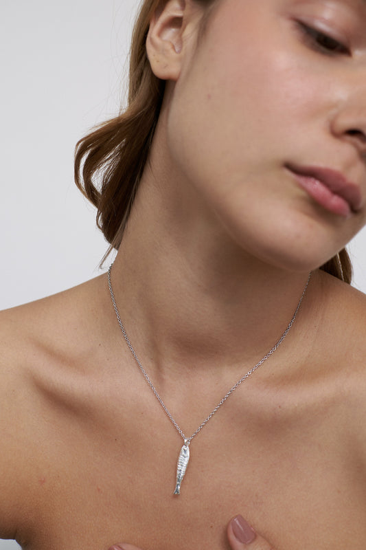 Collar Boqueron Mini