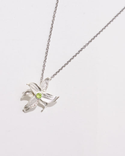 Collar Aurora Maxi