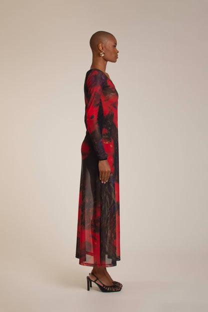 Red Roses Mesh Dress