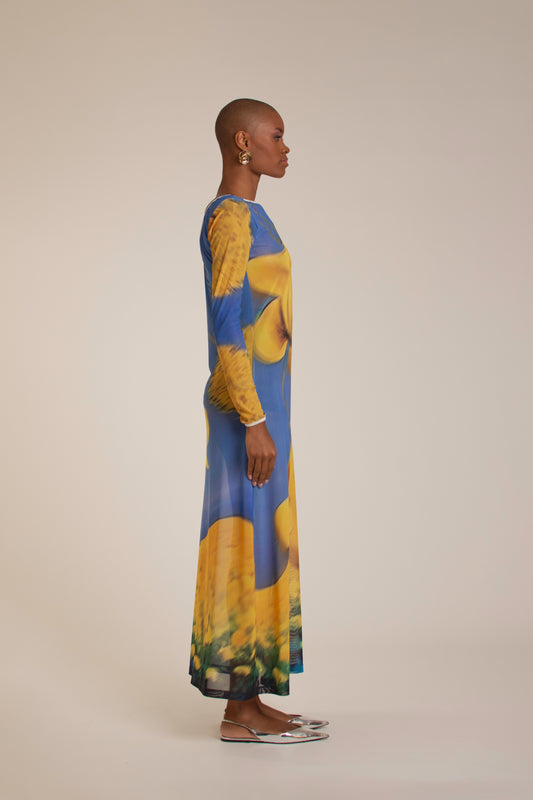Yellow Flowers Mesh Dress