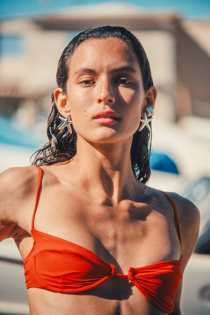 Estrella de Mar