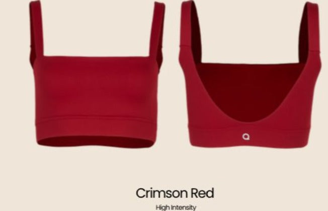 Vivid Sports Bra - High Intensity