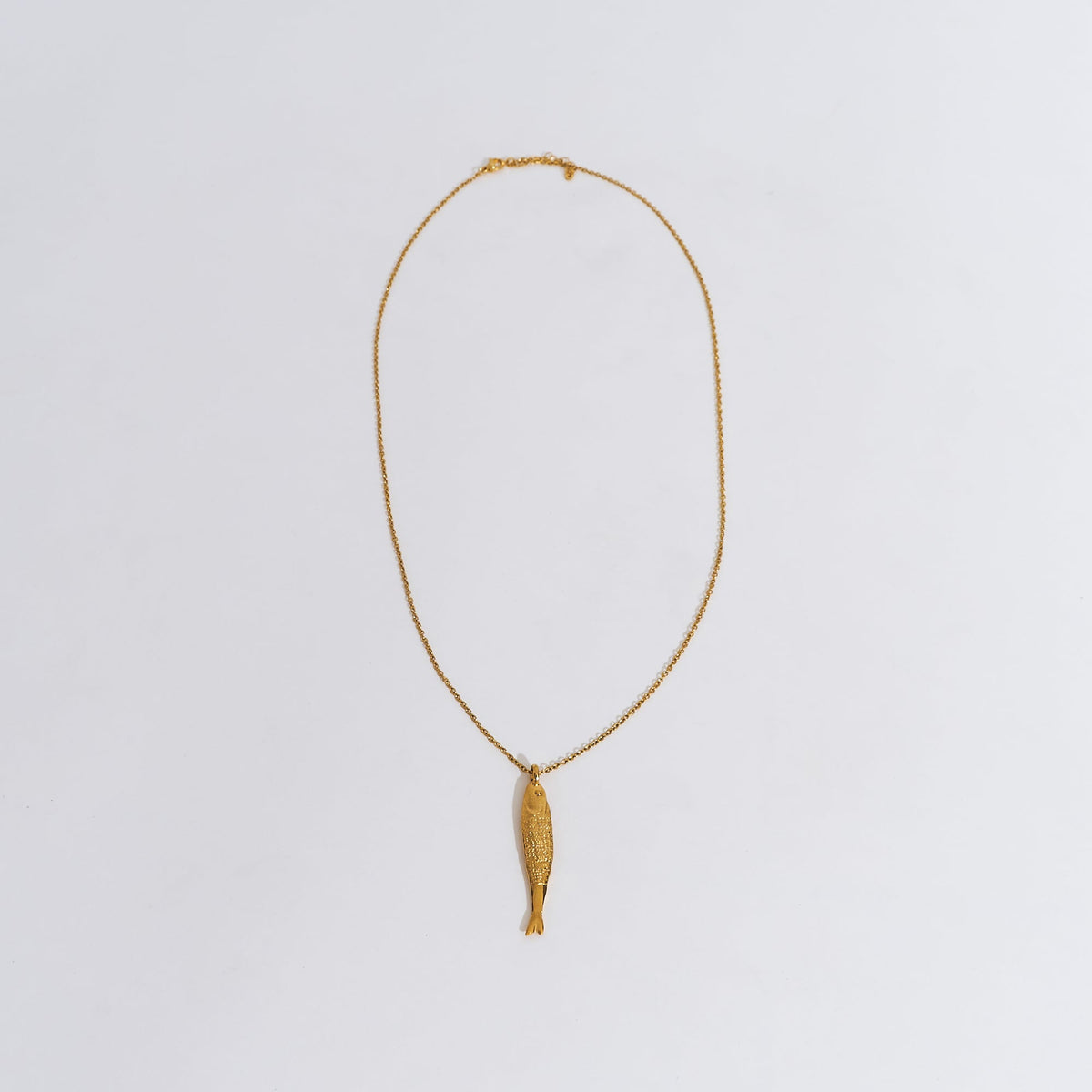 Collar Boqueron Maxi