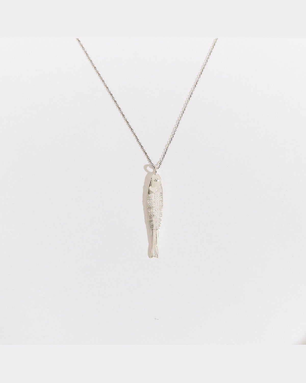 Collar Boqueron Medi