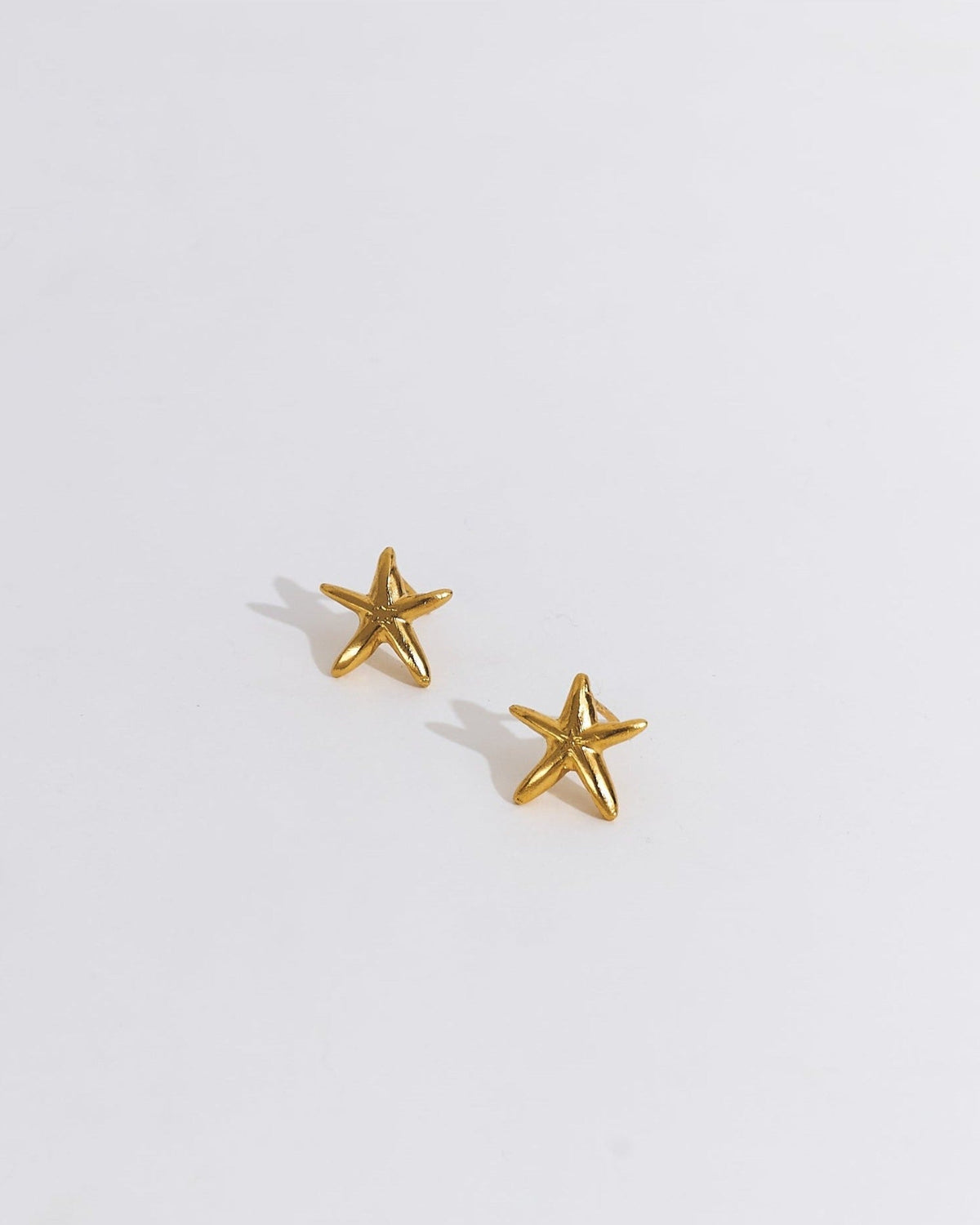 Estrella de Mar Mini