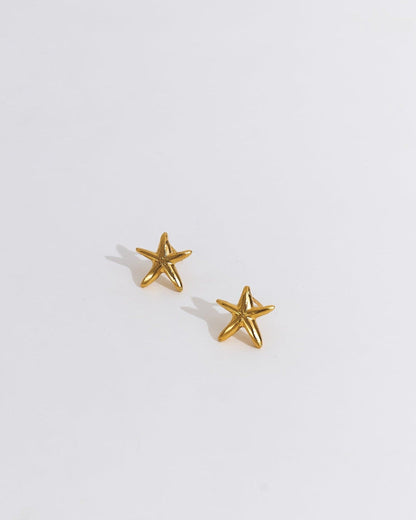 Estrella de Mar Mini